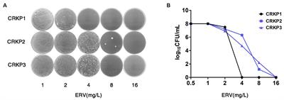 Detection and characterization of eravacycline heteroresistance in clinical bacterial isolates